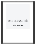 Stress và sự phát triển của não trẻ