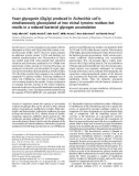 Báo cáo khoa học: Yeast glycogenin (Glg2p) produced in Escherichia coli is simultaneously glucosylated at two vicinal tyrosine residues but results in a reduced bacterial glycogen accumulation