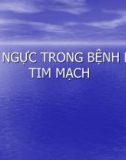 Bài giảng XQ ngực trong bệnh lý tim mạch