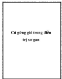 Củ gừng gió trong điều trị xơ gan