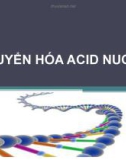 Bài giảng Chuyển hóa acid nucleic - Võ Hồng Trung