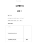 GEMZAR (Kỳ 1)