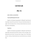 GEMZAR (Kỳ 4)