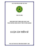 Luận án Tiến sĩ Kinh tế Nông nghiệp: Giải pháp phát triển sản xuất cam theo hướng hàng hóa ở tỉnh Tuyên Quang