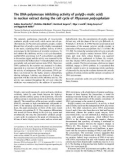 Báo cáo Y học: The DNA-polymerase inhibiting activity of poly(b-L-malic acid) in nuclear extract during the cell cycle of Physarum polycephalum