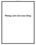 Phòng cước khí mùa đông