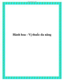 Hành hoa - Vị thuốc đa năng