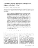 Báo cáo khoa học: Acute Phase Proteins in Response to Dictyocaulus viviparus Infection in Calves