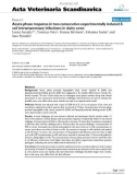 Báo cáo khoa học: Acute phase response in two consecutive experimentally induced E. coli intramammary infections in dairy cows