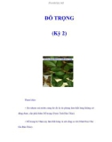 ĐỖ TRỌNG (Kỳ 2)