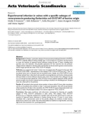 Báo cáo khoa học: Experimental infection in calves with a specific subtype of verocytotoxin-producing Escherichia coli O157: H7 of bovine origin