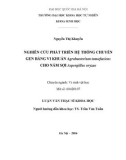 Luận văn thạc sĩ Khoa học: Nghiên cứu phát triển hệ thống chuyển gen bằng vi khuẩn Agrobacterium tumefaciens cho nấm sợi Aspergillus oryzae