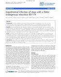 Báo cáo khoa học: Experimental infection of dogs with a feline endogenous retrovirus RD-114.