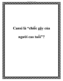 Canxi - chiếc gậy của người cao tuổi