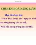 Bài giảng Chuyển hóa năng lượng (75tr)