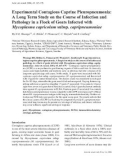 Báo cáo khoa học: Experimental Contagious Caprine Pleuropneumonia: A Long Term Study on the Course of Infection and Pathology in a Flock of Goats Infected with Mycoplasma capricolum subsp. capripneumoniae