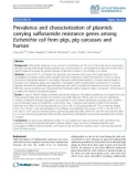 Báo cáo khoa học: Prevalence and characterization of plasmids carrying sulfonamide resistance genes among Escherichia coli from pigs, pig carcasses and human