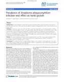 Báo cáo khoa học: Prevalence of Anaplasma phagocytophilum infection and effect on lamb growt