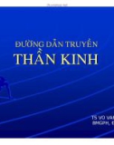 Bài giảng Đường dẫn truyền thần kinh - TS. Võ Văn Hải