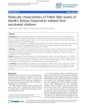 Báo cáo khoa học: Molecular characteristics of Polish field strains of Marek's disease herpesvirus isolated from vaccinated chickens