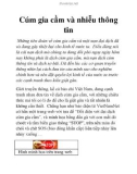 Cúm gia cầm và nhiễu thông tin