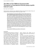 Báo cáo khoa học: The Effect of Two Different Oxytetracycline Treatments in Experimental Ehrlichia phagocytophila Infected Lambs