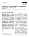 Báo cáo khoa học: Protective effect of the isoflavone equol against DNA damage induced by ultraviolet radiation to hairless mouse skin