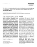 Báo cáo khoa học: The effects of cyclophosphamide treatment on the pathogenesis of subgroup J avian leukosis virus (ALV-J) infection in broiler chickens with Marek's disease virus exposure