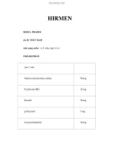 HIRMEN