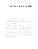 Trai Trứng Cá, Gái Má Hồng