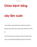 Chữa bệnh bằng cây tầm xuân