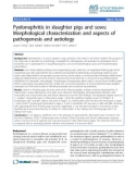 Báo cáo khoa học: Pyelonephritis in slaughter pigs and sows: Morphological characterization and aspects of pathogenesis and aetiology