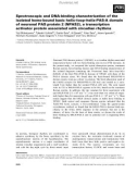 Báo cáo khoa học: Spectroscopic and DNA-binding characterization of the isolated heme-bound basic helix–loop–helix-PAS-A domain of neuronal PAS protein 2 (NPAS2), a transcription activator protein associated with circadian rhythms