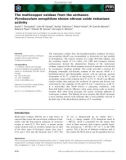 Báo cáo khoa học: The multicopper oxidase from the archaeon Pyrobaculum aerophilum shows nitrous oxide reductase activity