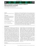 Báo cáo khoa học: Sin3 is involved in cell size control at Start in Saccharomyces cerevisiae Octavian Stephan and Christian Koch