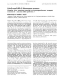 Báo cáo khoa học: Cytochrome P460 of Nitrosomonas europaea Formation of the heme-lysine cross-link in a heterologous host and mutagenic conversion to a non-cross-linked cytochrome c ¢