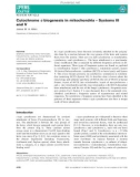 Báo cáo khoa hoc : Cytochrome c biogenesis in mitochondria – Systems III and V