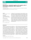 Báo cáo khoa hoc : Cytochrome c maturation system on the negative side of bioenergetic membranes: CCB or System IV