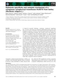 Báo cáo khoa học: Substrate speciﬁcity and catalytic mechanism of a xyloglucan xyloglucosyl transferase HvXET6 from barley (Hordeum vulgare L.)