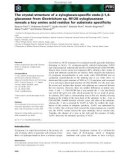 Báo cáo khoa học: The crystal structure of a xyloglucan-speciﬁc endo-b-1,4glucanase from Geotrichum sp. M128 xyloglucanase reveals a key amino acid residue for substrate speciﬁcity