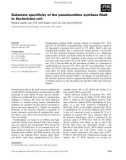 Báo cáo khoa học: Substrate speciﬁcity of the pseudouridine synthase RluD in Escherichia coli