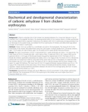 Báo cáo khoa học: Biochemical and developmental characterization of carbonic anhydrase II from chicken erythrocytes