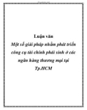 Luận văn: Một số giải pháp nhằm phát triển công cụ tài chính phái sinh ở các ngân hàng thương mại tại Tp.HCM