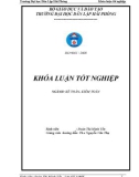 Luận văn kế toán đề tài : Hoàn thiện tổ chức công tác kế toán Doanh thu, chi phí & xác định kết quả kinh doanh tại Công ty TNHH Thƣơng Mại & Dịch vụ Toàn Tâm