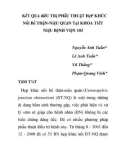 Báo cáo y học: KếT QUả điềU TRị PHẫU THUậT HẹP KHÚC NốI Bể THậN-NIệU QUảN TạI KHOA TIếT NIệU BệNH VIệN 103