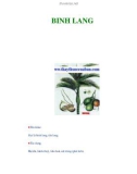 BINH LANG