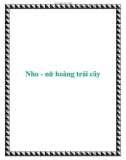 Nho - nữ hoàng trái cây