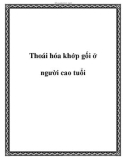 Thoái hóa khớp gối ở người cao tuổi