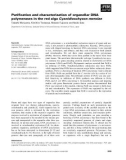 Báo cáo khoa học: Puriﬁcation and characterization of organellar DNA polymerases in the red alga Cyanidioschyzon merolae