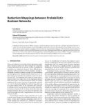 Báo cáo hóa học: Reduction Mappings between Probabilistic Boolean Networks